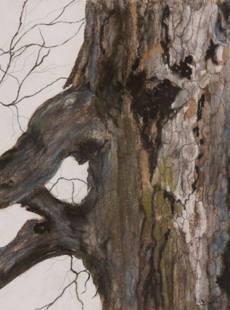 Tree Trunk II, pastel, 12"H x 9"W