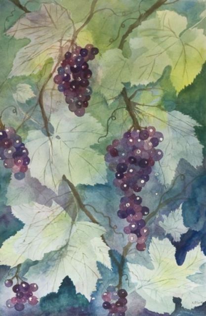 Grape Harvest, watercolor, 27" x 19.5"