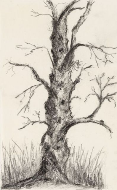 Tree-I, charcoal, 12"H x 9"W