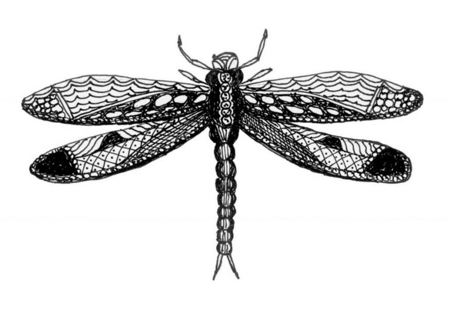 Dragon Fly, fine pen art