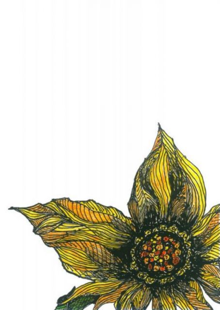 Sunflower II, fine pen art