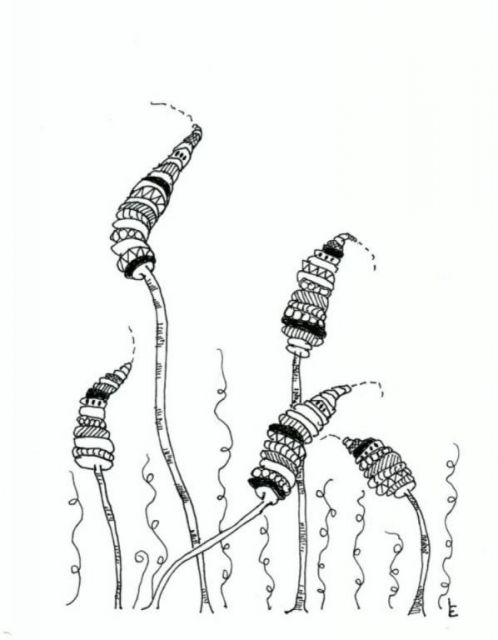 Party of Five, fine pen art